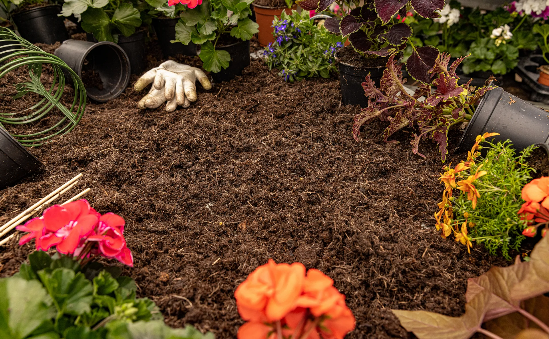 Legacy Landscape CT Work Process